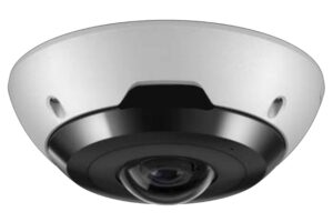 Best business security camera: Fisheye Camera